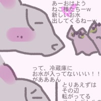 お水冷えてないい！！