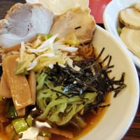 |M3401|高島平駅西口『麺一亭珍麻』にお邪魔。チューハイ＆きゅうりのネギまみれ＆回鍋肉を味わい、今季初のチャーシューピリ辛ざる中華でコク辛旨く締めました！