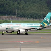 長竜航空の特別塗装機　福岡空港