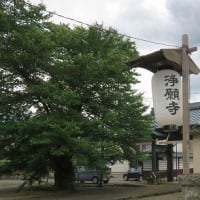 当地のお盆は7月、「お墓参り」済ませました。