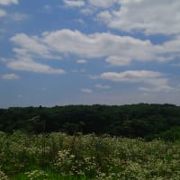 近所の田舎の風景
