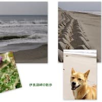 台風前の伊良湖岬