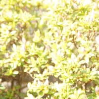 記事のタイトルを入力してください（必須）