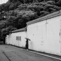 monochrome
