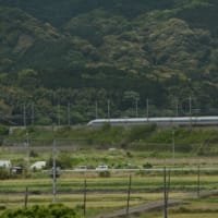 山陽新幹線N700A系　シロツメクサ花が咲き乱れる　2024-05-05