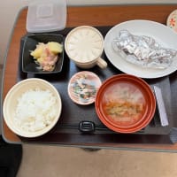 内視鏡下鼻副鼻腔手術を受けた。