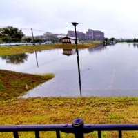 大雨が続きました