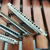 ハーモニカ　どれにしようかな～？