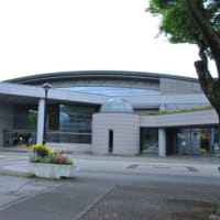 光が丘公園　イチョウ並木　　　18