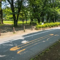 6月29日(日) 12日例会「一橋学園駅--三鷹駅」の下見-3-3境浄水場-どんぐり橋