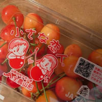 毎日忙し