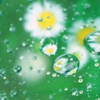 梅雨らしく ・・・