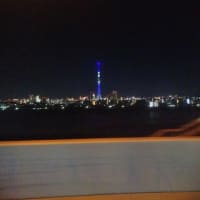赤血球の数が足りない