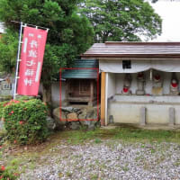 京都　亀岡　丹波七福神巡り１（東光寺　極楽寺　出雲大神宮）　２ニャン