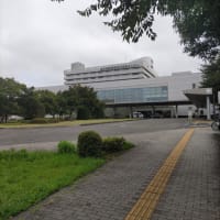 定期検査