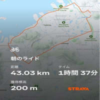 カフェ・モトーレ サイクリング♪
