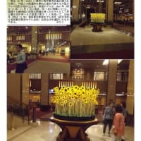 施設案内東京-526    帝国ホテル 
