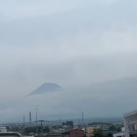 植物の逞しさ