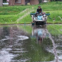 沖縄関連の慰霊の日は幾つもあるようです。