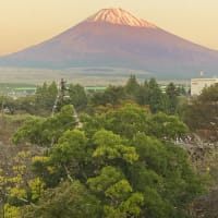 富士山観光ツーリング