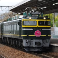 新大阪駅で8002レ撮影