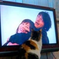 せっかく‥