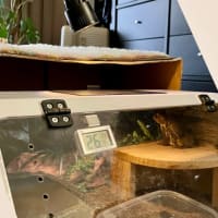 ミュージックカフェコンサート