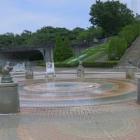 相模原公園散策