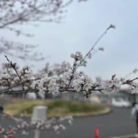 ただいま