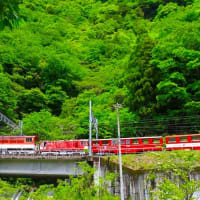 大井川鉄道・井川線（奥大井レインボーブリッジ＆アプト式電気機関車）