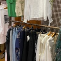 夏のオススメアイテム