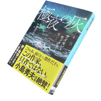 極夜の灰