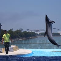 四国水族館Ⅲ
