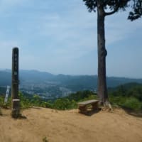 島のストリートビューを見るのが好き（　＆　老人とニャン　）の巻