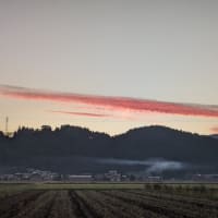 朝景