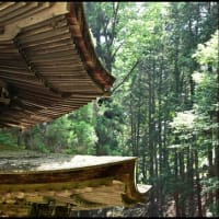 「安楽寺」の 国宝八角三重塔