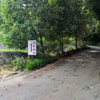 梅雨時期の楽しみ♪