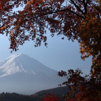 富士山眺望～2013.11