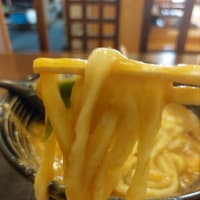 うどん・そば屋 勢川 (豊橋) ～ 海鮮風豊橋カレーうどん ～