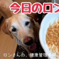今日のロンごはん☆備蓄の素麺消費係☆納豆卵とシーチキンサラダ☆