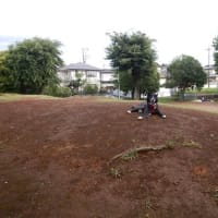 梅雨入りの予感