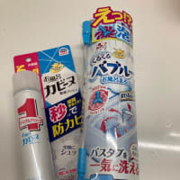 お風呂の排水口に置くだけでヌメリ知らず！！