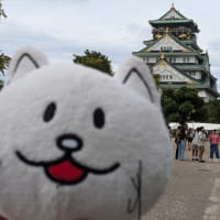 ドームDAY2のみに現れる奴（→わたしです！）