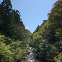結局、熊野川水系ピクニックでした＾＾（4月14日釣行記）