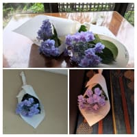 紫陽花のまじない