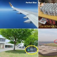 2025年6月25～29日　【旅行】元同僚と台湾・阿里山のぼったろう会（５）台北→秋田→東京