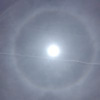 千葉ジェッツＣＳへ　　　六つ葉のクローバー　地位と名声