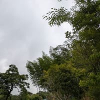 アマテラスの言葉　　　予約し損ないました
