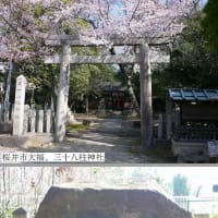 万葉アルバム（奈良）：桜井市大福、三十八柱神社
