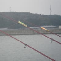 2025.4.19　結果として北陸弾丸ツアーになってしまいました。　柿崎－生地－富来　　　　　　　　　　　　　　　　　　　　　　　　　　　　　　　　　　　　